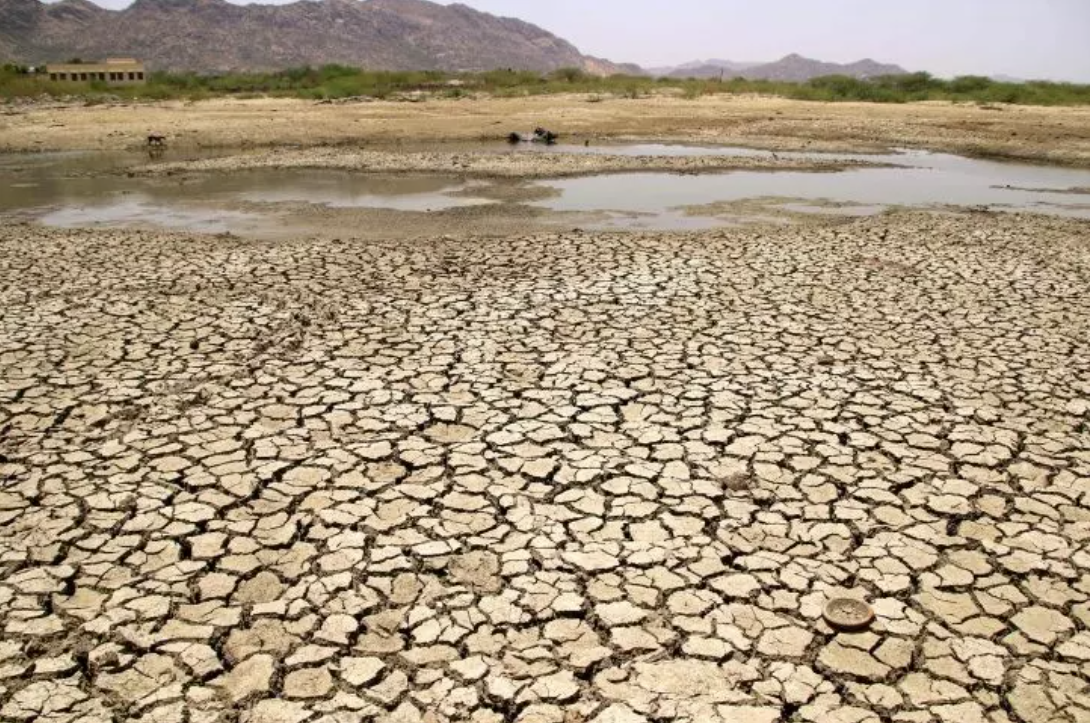 India – Heat and Insufficient Rain Drive Water Stress  (April-May 2025) 